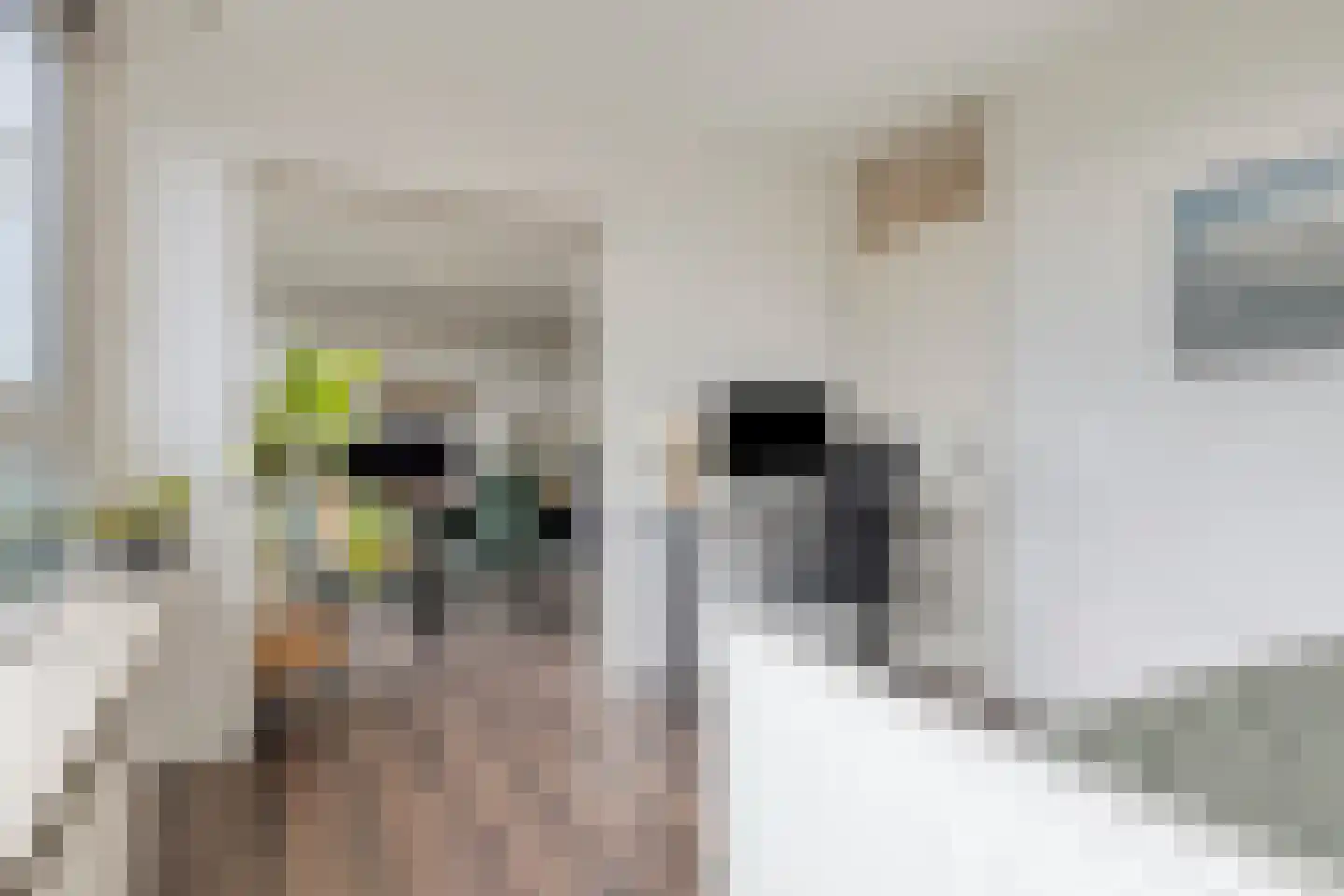 Heeghtakker 60 A Eindhoven thumbnail 12