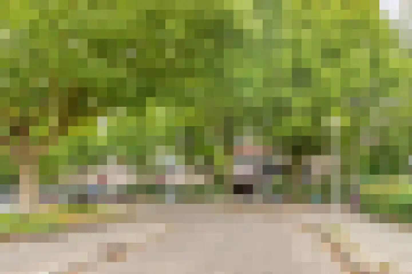 Heeghtakker 60 A Eindhoven thumbnail 26