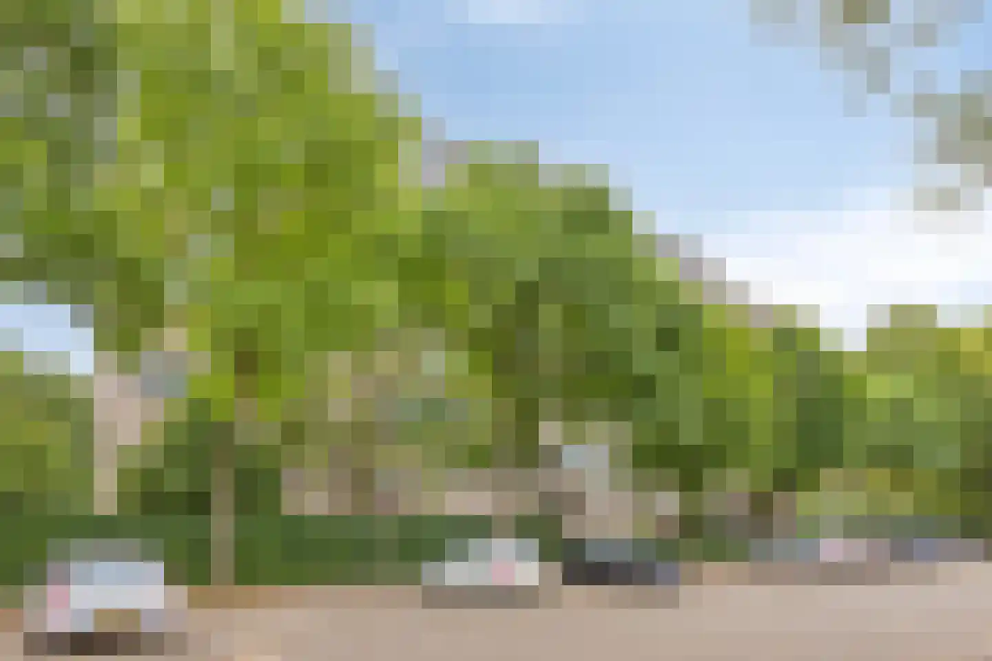 Heeghtakker 60 A Eindhoven thumbnail 28