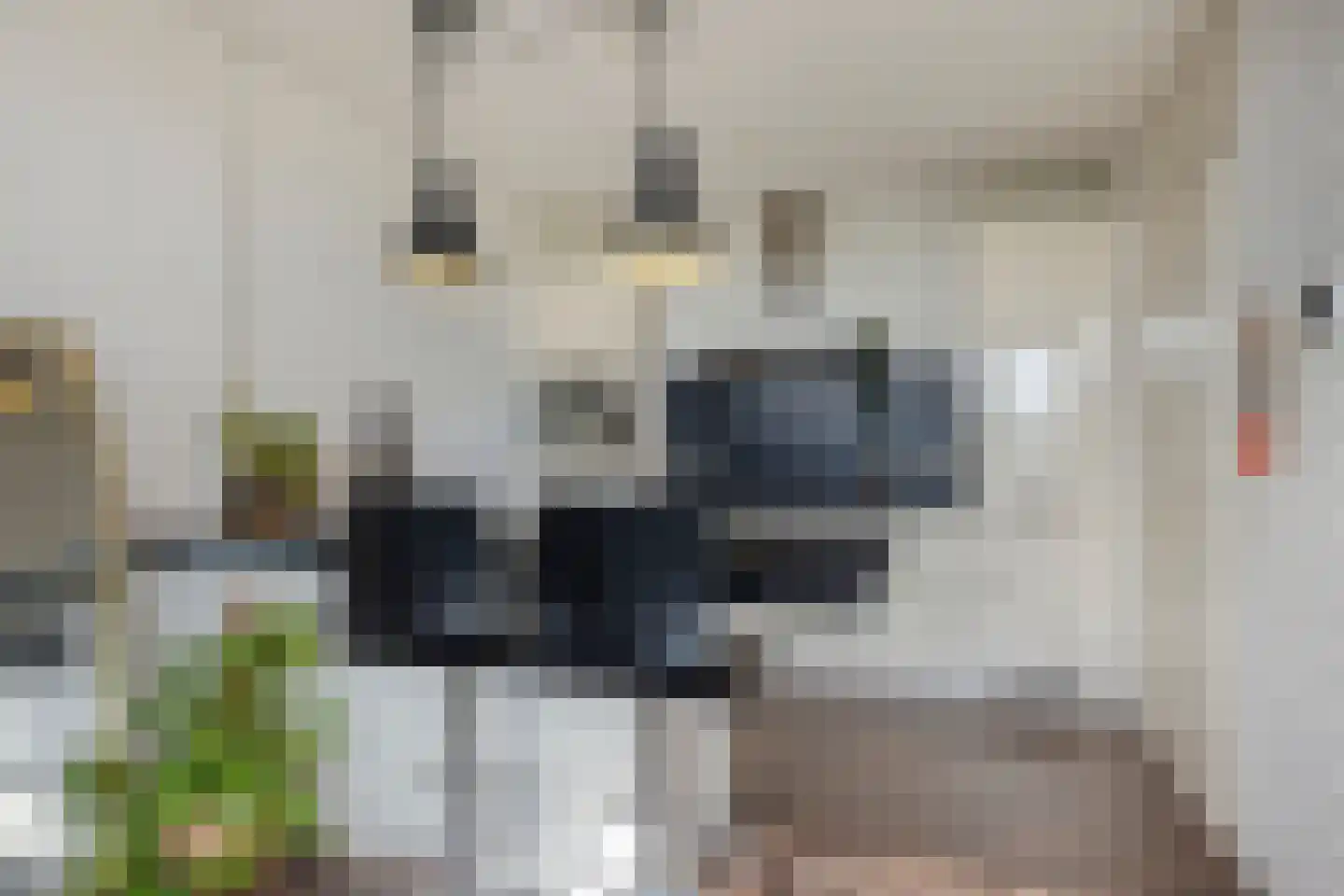 Heeghtakker 60 A Eindhoven thumbnail 7