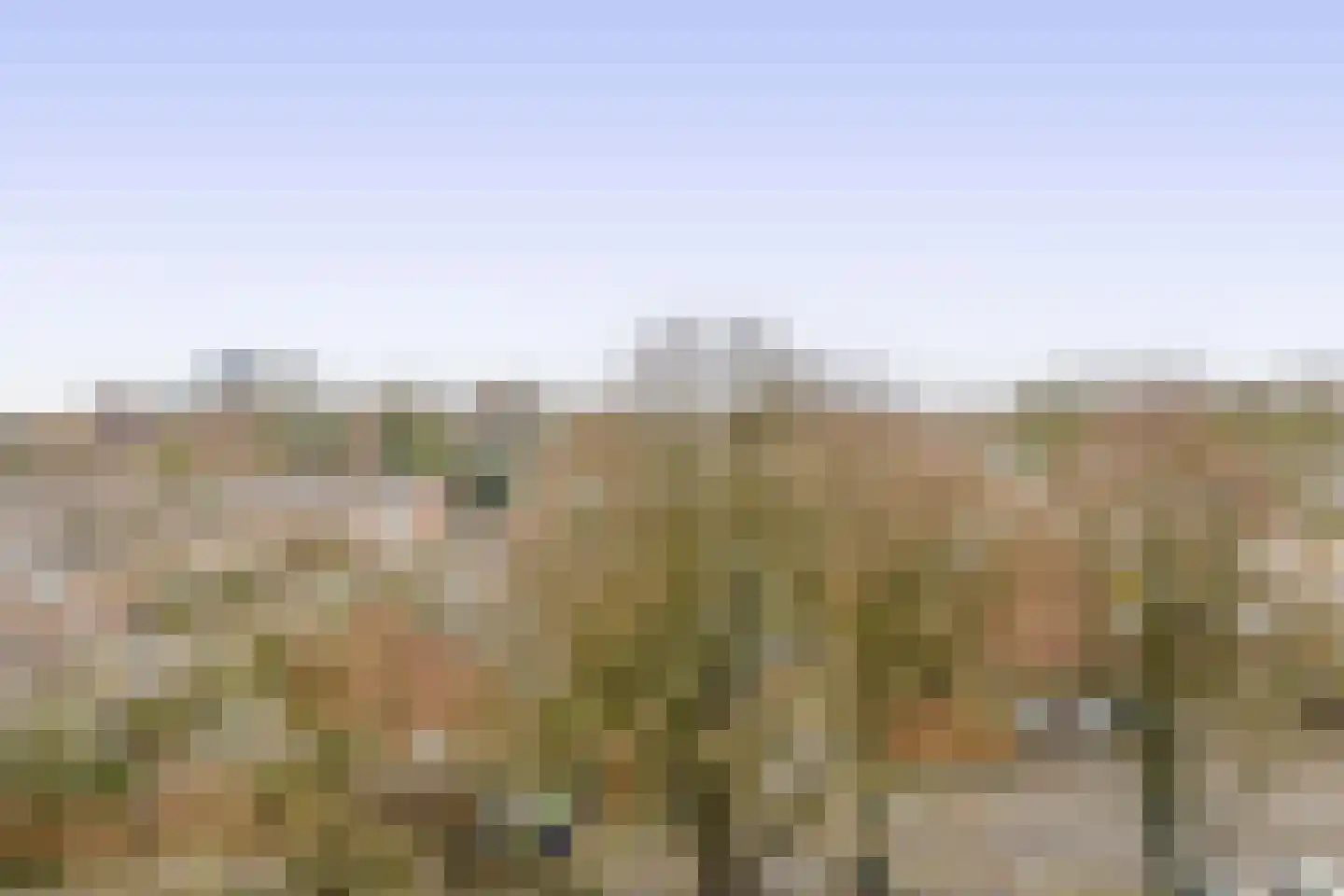 Heeghtakker 60 Eindhoven thumbnail 33