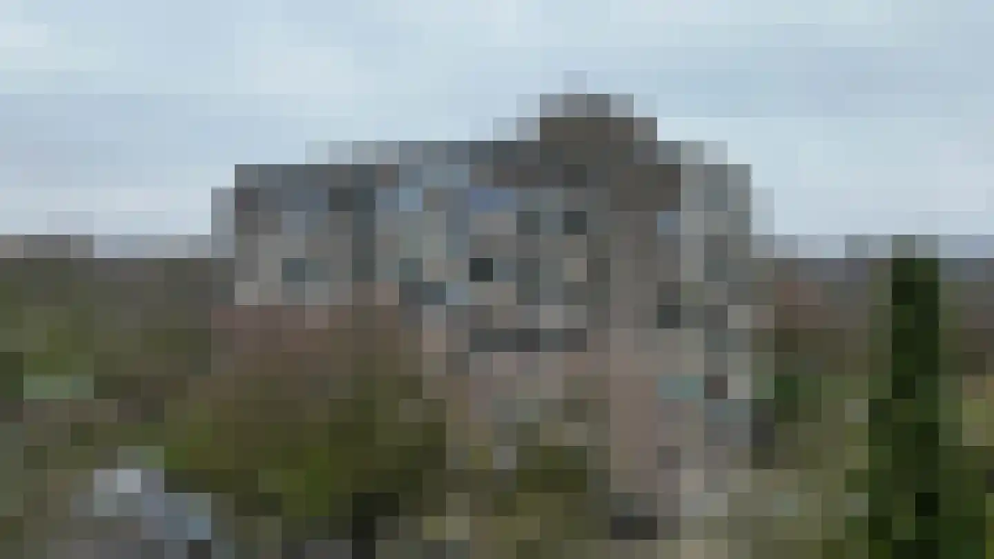 Heeghtakker 60 Eindhoven thumbnail 5