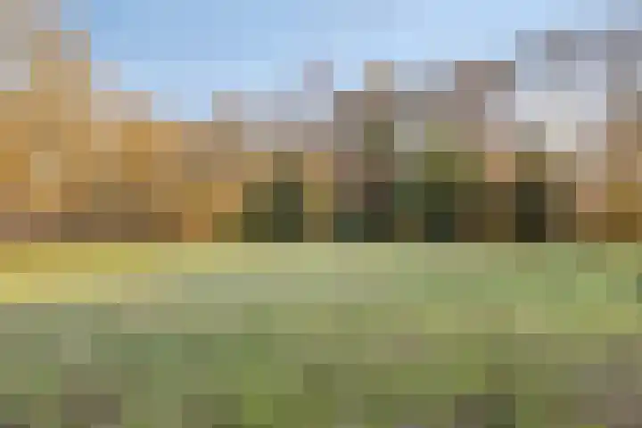 Heeghtakker 82 A Eindhoven thumbnail 29