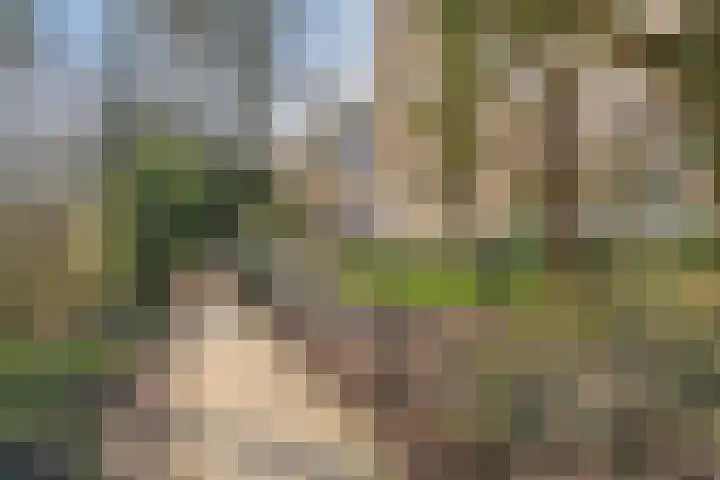 Heeghtakker 82 A Eindhoven thumbnail 30