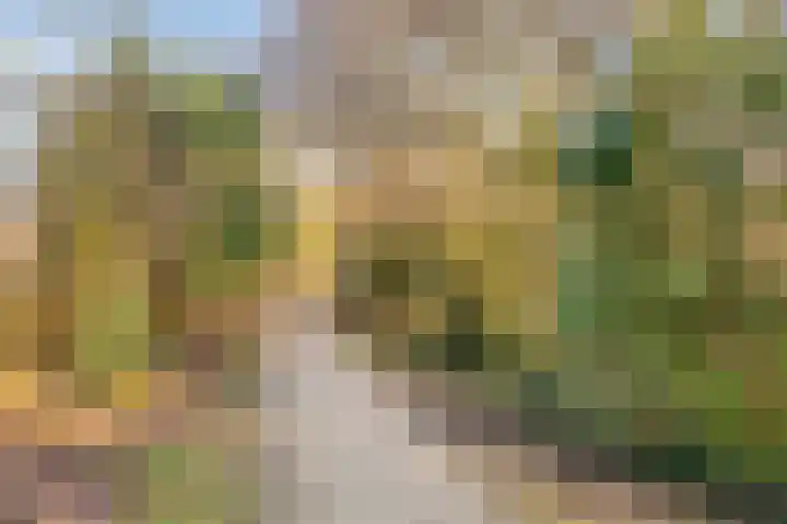 Heeghtakker 82 A Eindhoven thumbnail 31