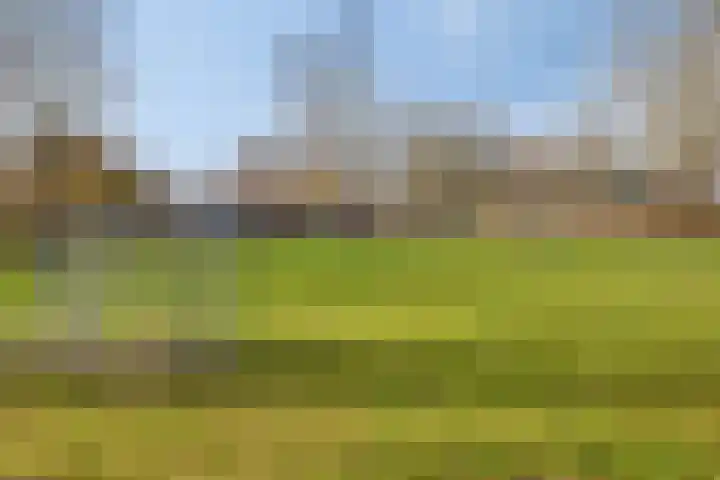 Heeghtakker 82 A Eindhoven thumbnail 32