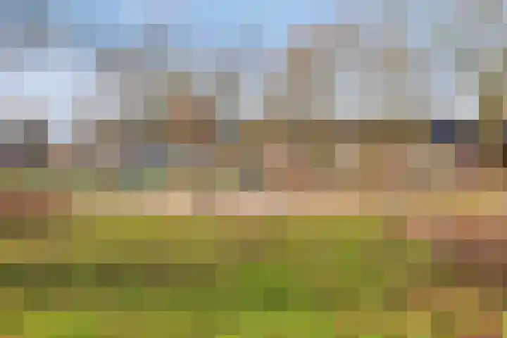 Heeghtakker 82 A Eindhoven thumbnail 33