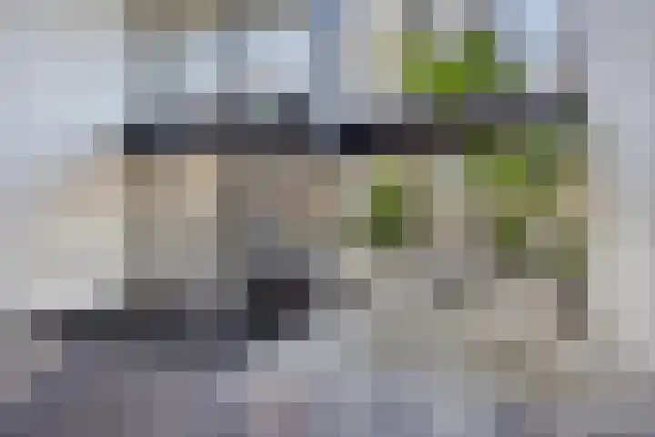 Heeghtakker 82 A Eindhoven thumbnail 34