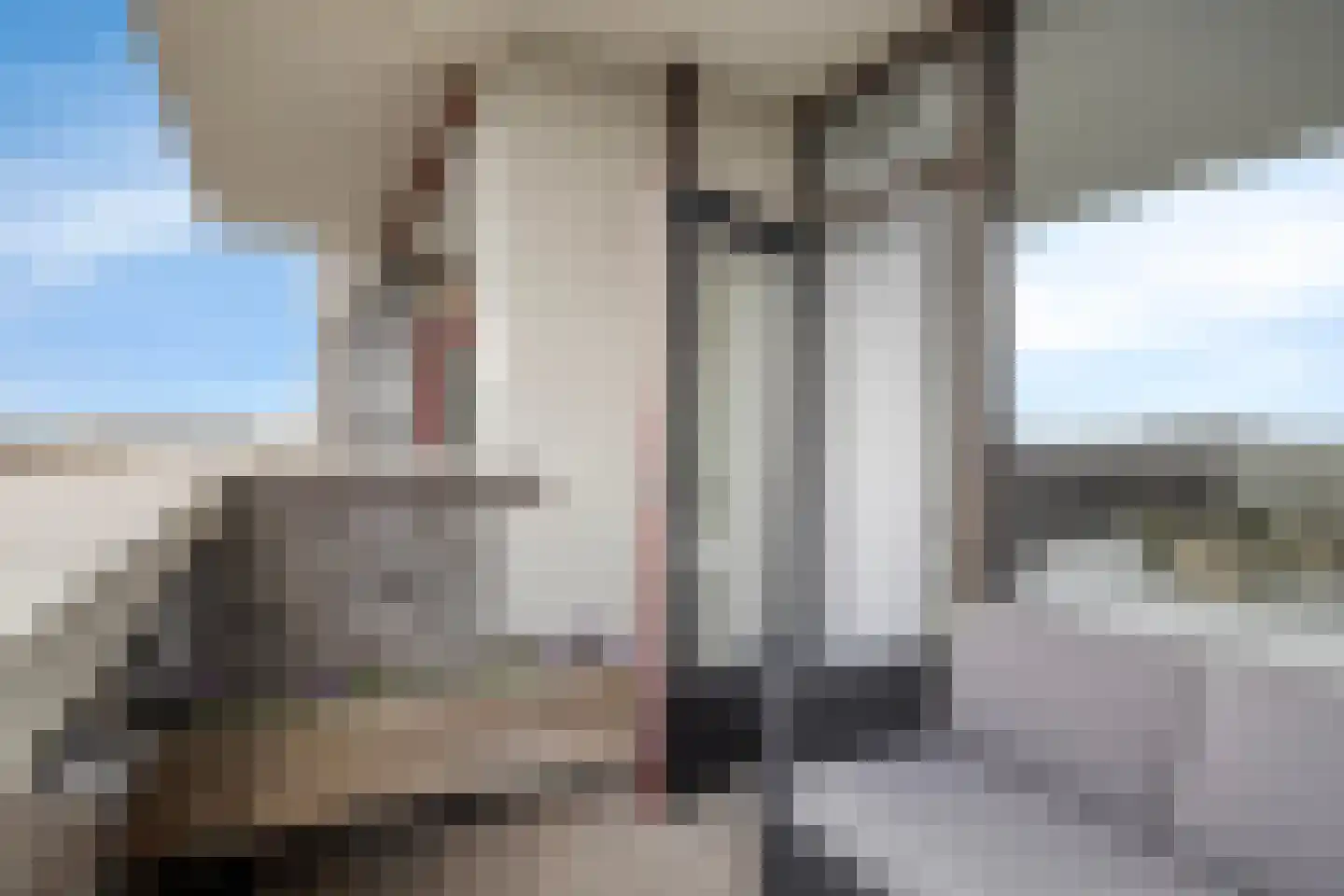 Heeghtakker 82 Eindhoven thumbnail 16