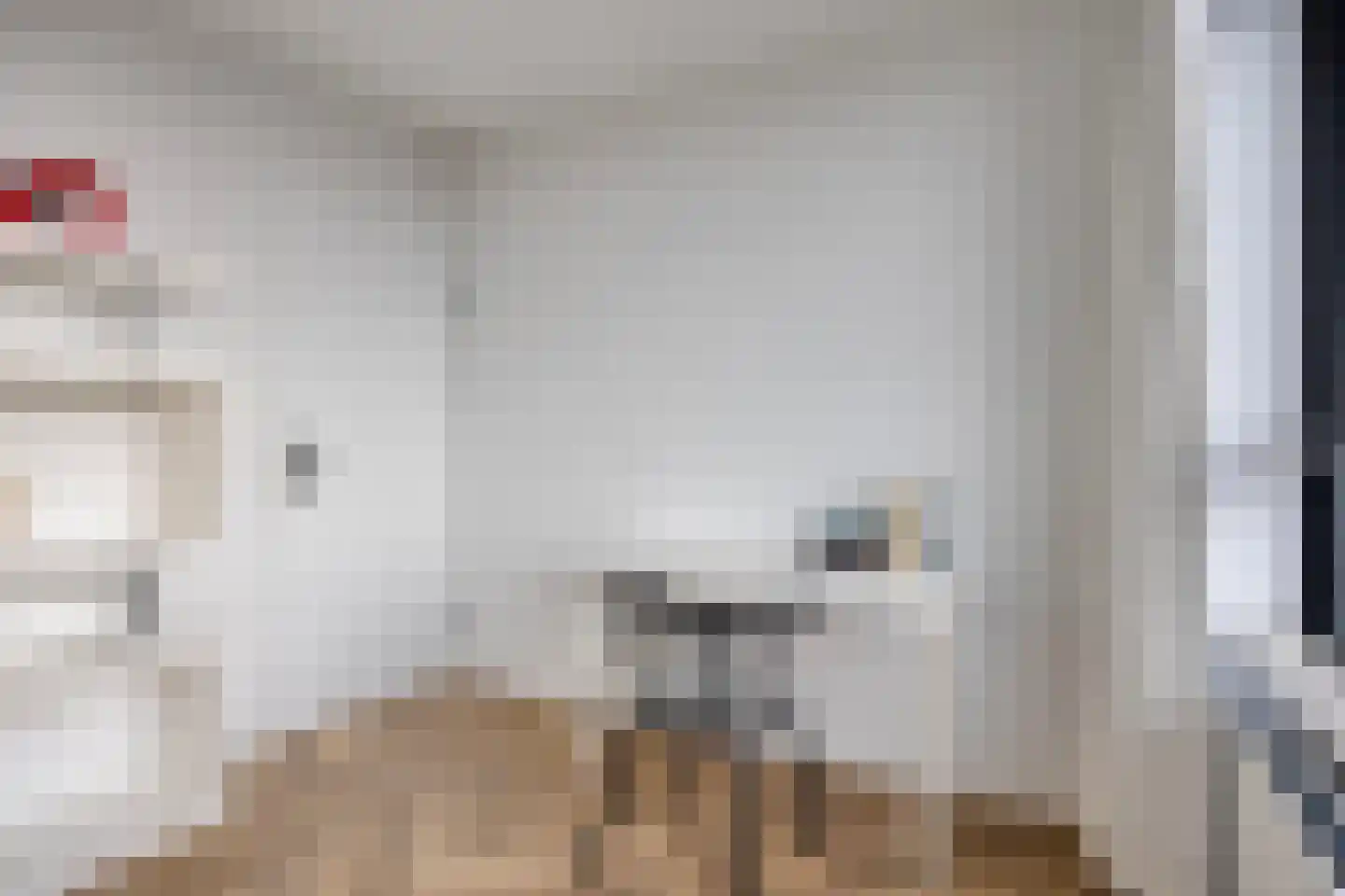 Heeghtakker 82 Eindhoven thumbnail 21
