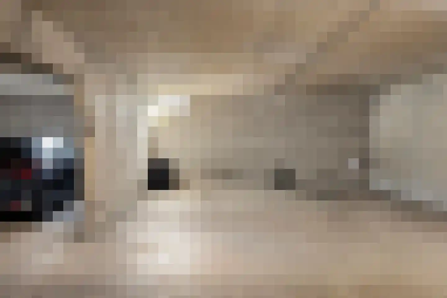 Heeghtakker 82 Eindhoven thumbnail 28