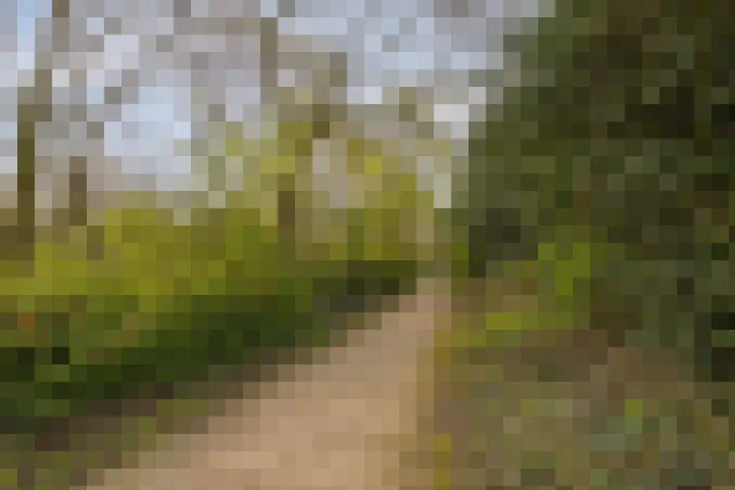 Heeghtakker 82 Eindhoven thumbnail 34