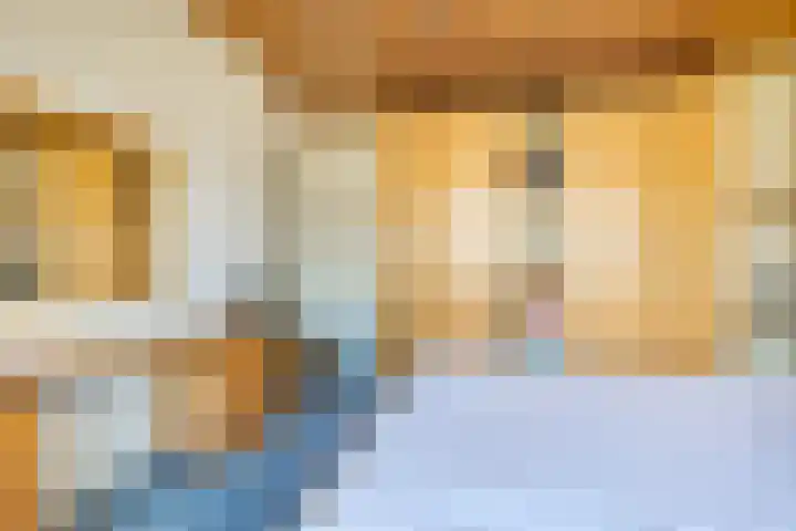 Heeghtakker 9 Eindhoven thumbnail 11
