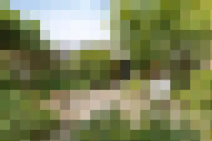 Heeghtakker 9 Eindhoven thumbnail 18