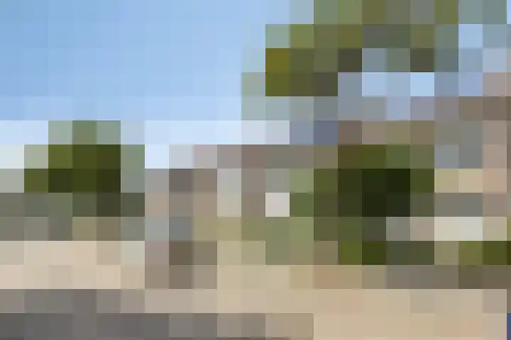 Heeghtakker 9 Eindhoven thumbnail 22
