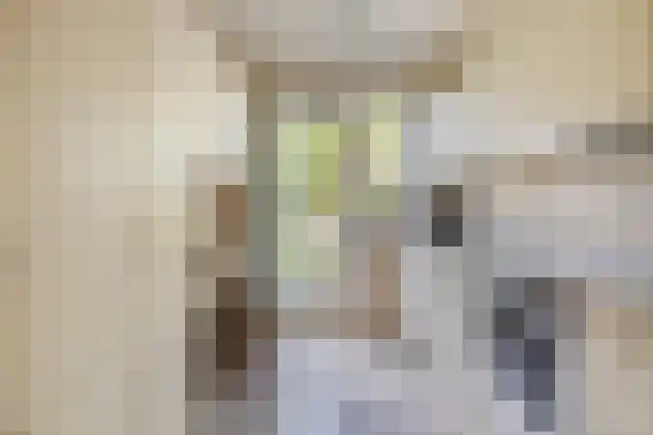 Heeghtakker 9 Eindhoven thumbnail 7