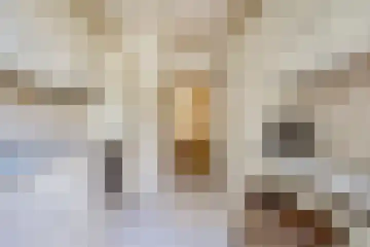 Heeghtakker 9 Eindhoven thumbnail 8