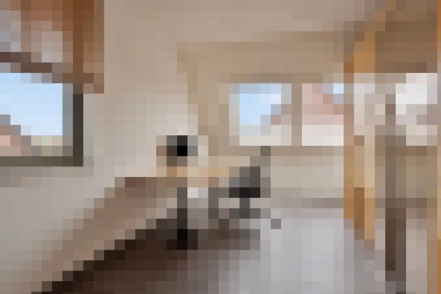 Heegsche Bouwing 11 Westervoort thumbnail 24