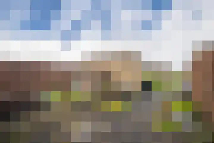 Heegsche Bouwing 30 Westervoort thumbnail 22