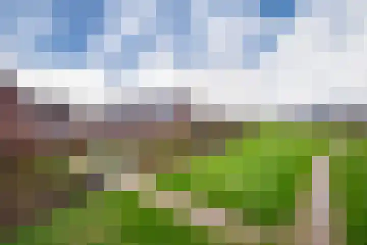 Heegsche Bouwing 30 Westervoort thumbnail 36