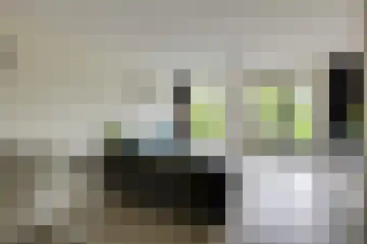 Heegsche Bouwing 8 Westervoort thumbnail 12