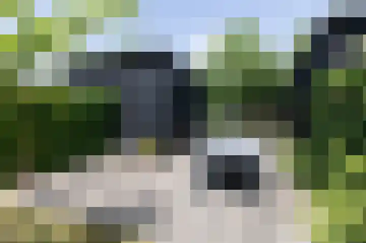 Heegsche Bouwing 8 Westervoort thumbnail 45