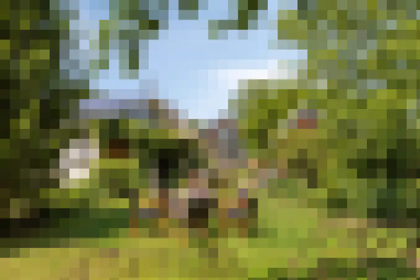 Heegtweg 1 A Aalten thumbnail 10