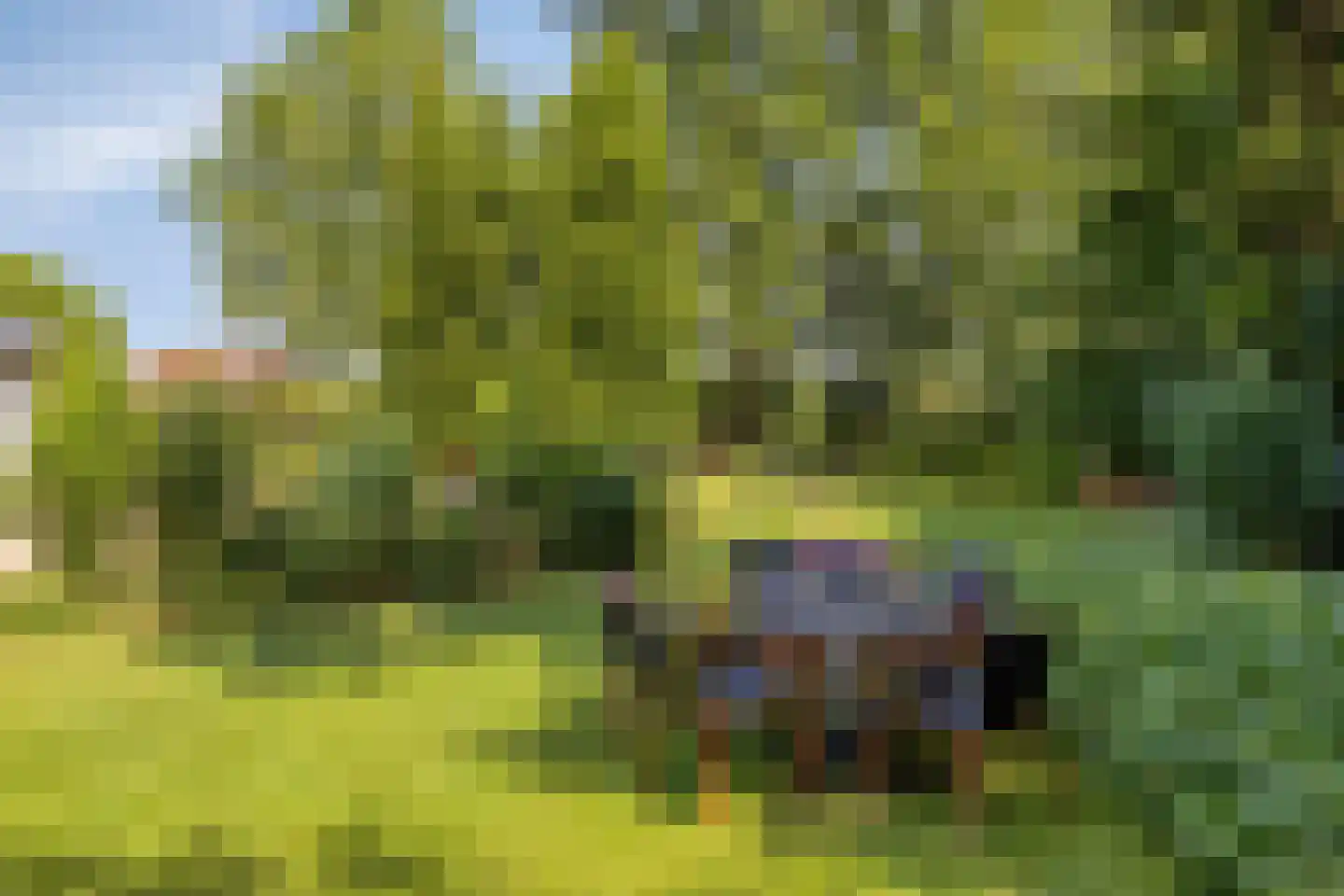 Heegtweg 1 A Aalten thumbnail 40