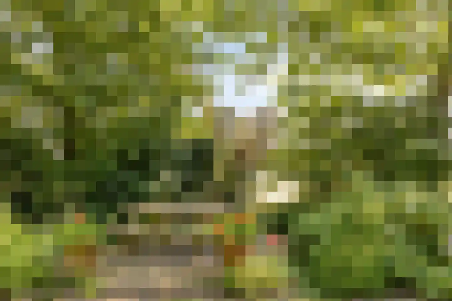Heegtweg 1 A Aalten thumbnail 49