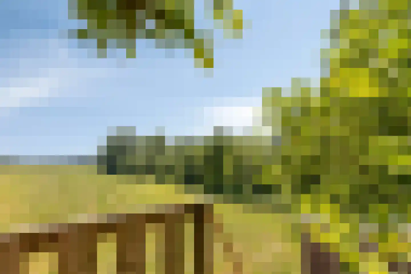 Heegtweg 1 A Aalten thumbnail 50