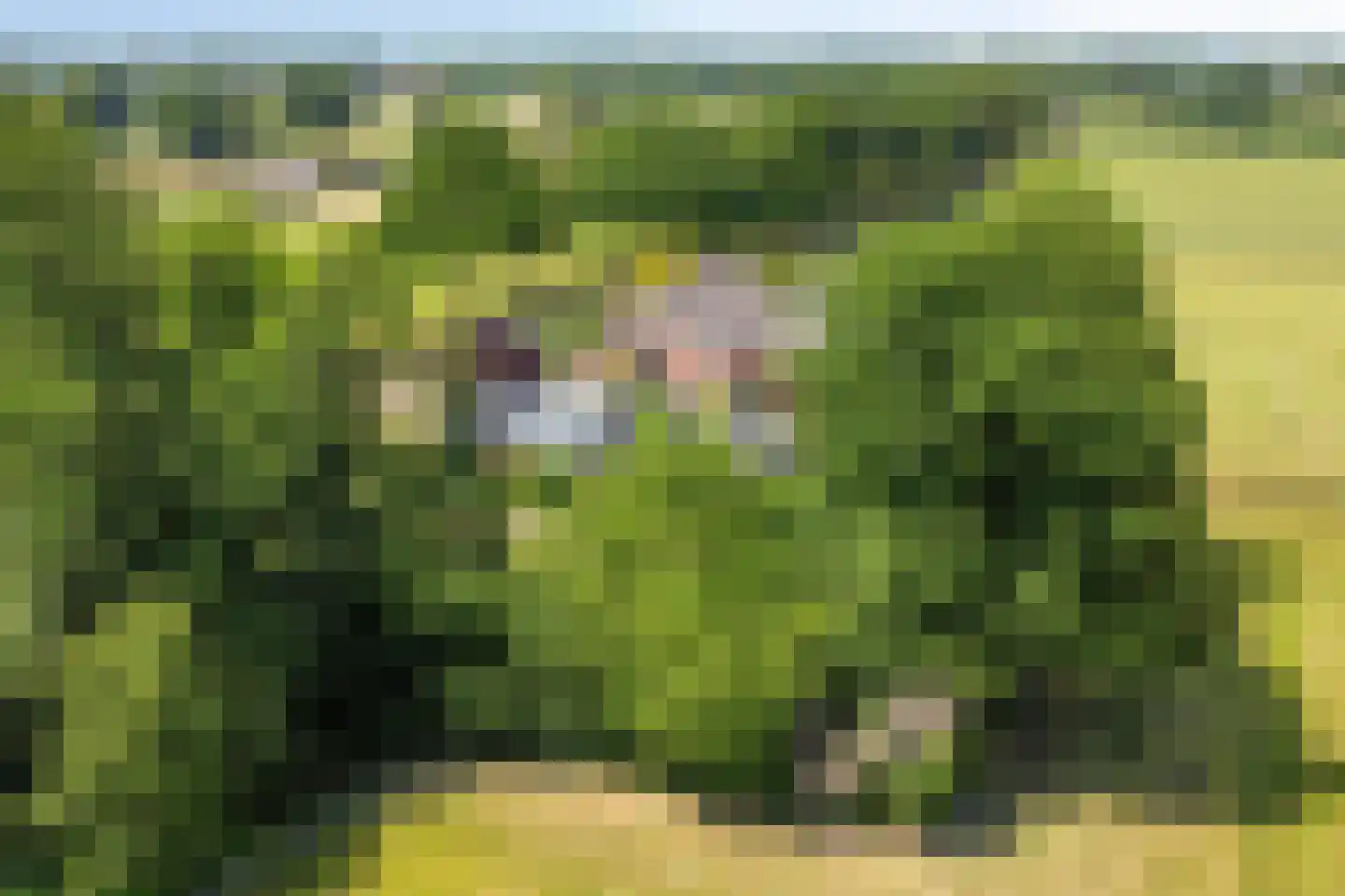Heegtweg 1 A Aalten thumbnail 51