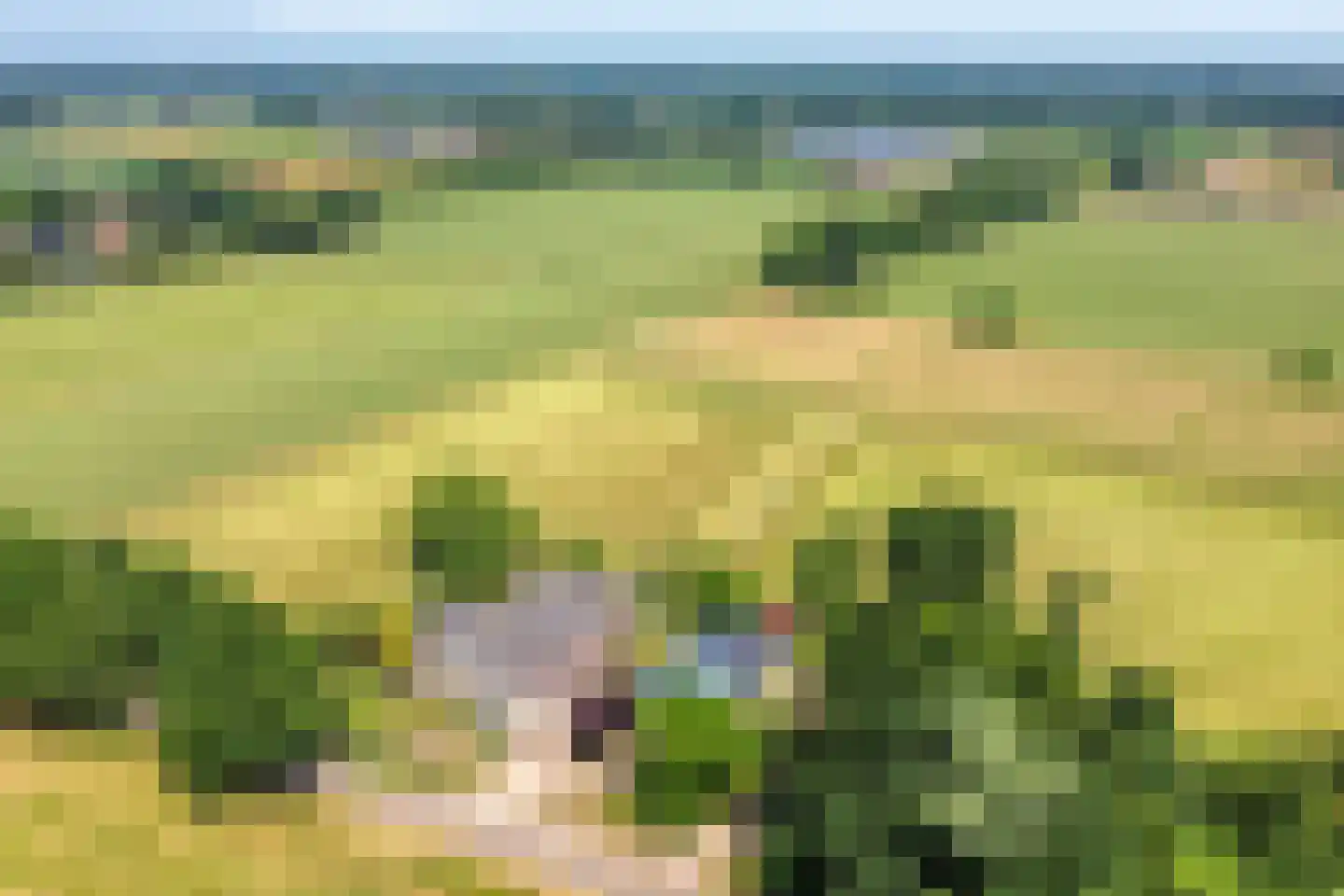 Heegtweg 1 A Aalten thumbnail 52