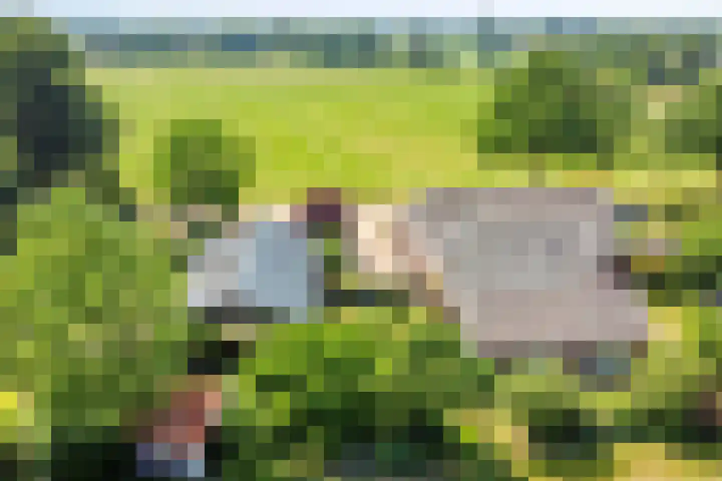 Heegtweg 1 A Aalten thumbnail 56