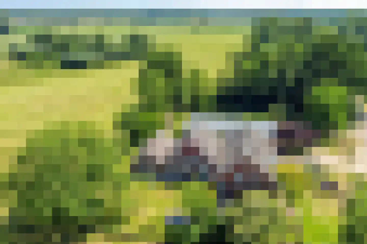 Heegtweg 1 A Aalten thumbnail 58