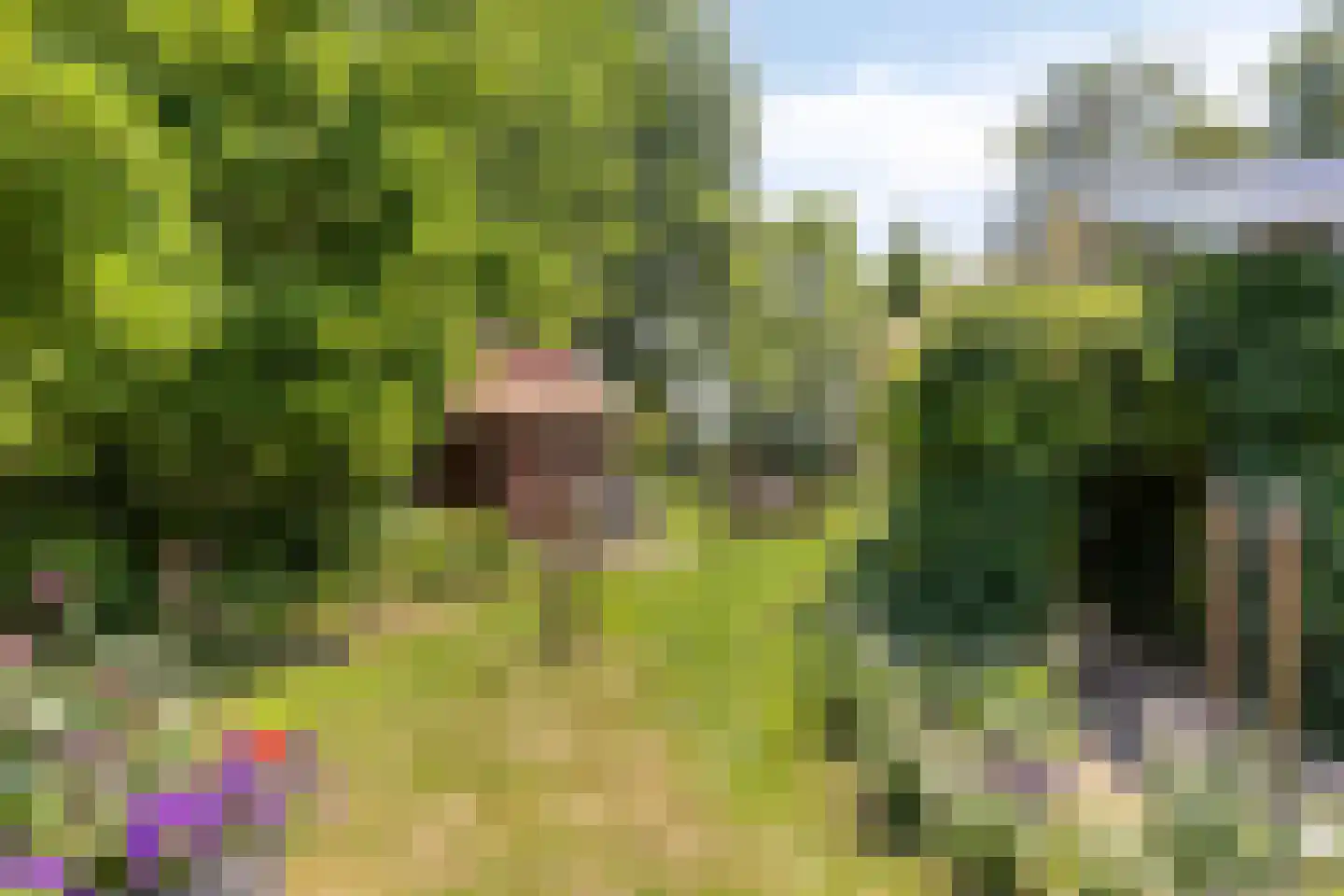 Heegtweg 1 A Aalten thumbnail 9
