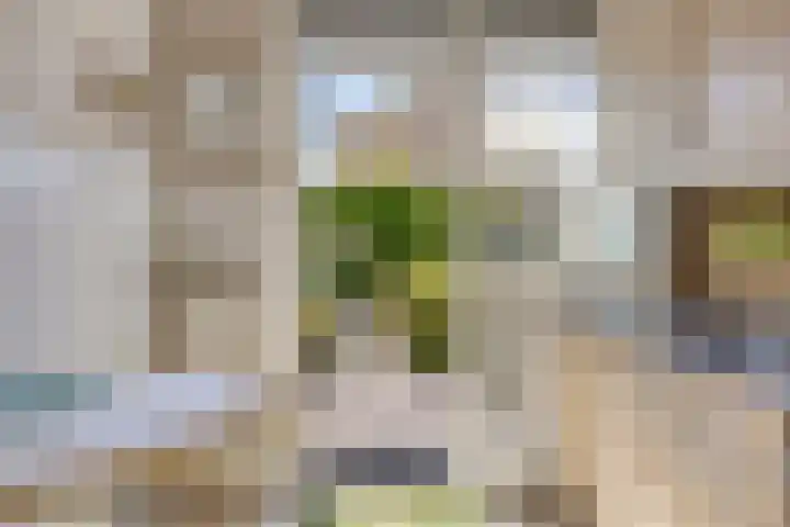 Heeklaan 111 Helmond thumbnail 22