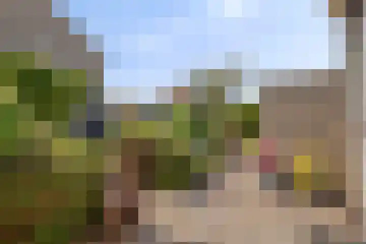 Heeklaan 111 Helmond thumbnail 37