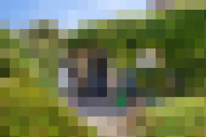 Heeklaan 111 Helmond thumbnail 38