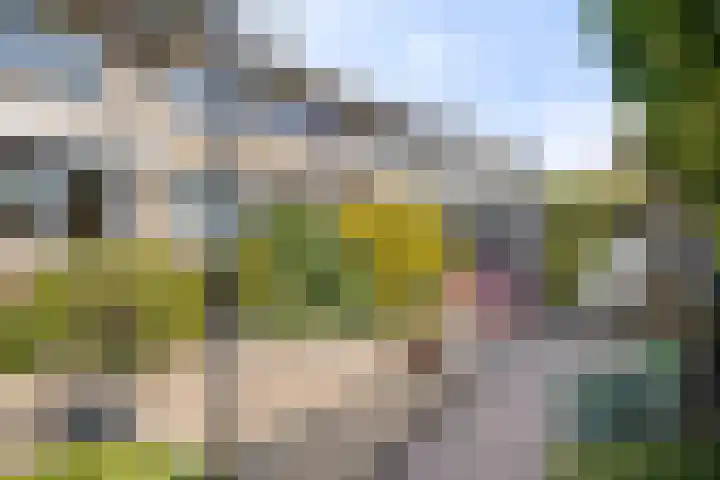 Heeklaan 111 Helmond thumbnail 41