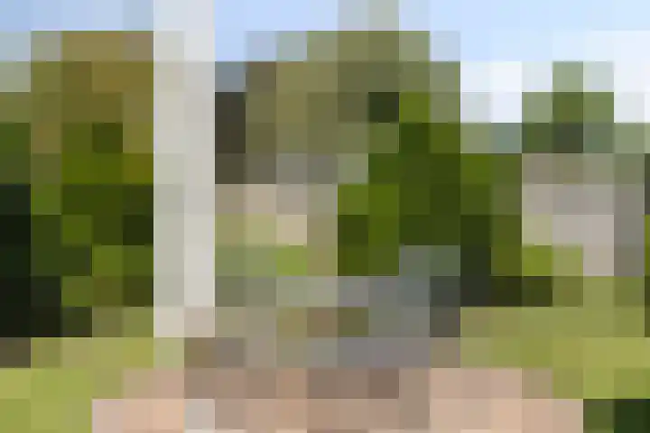 Heeklaan 111 Helmond thumbnail 42