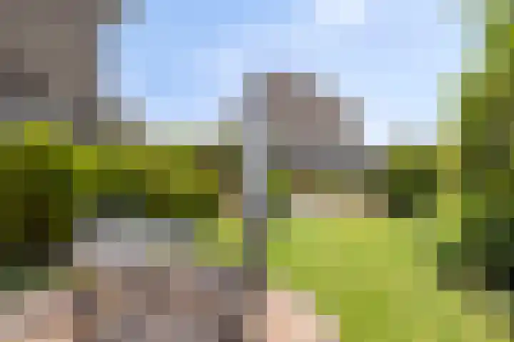 Heeklaan 111 Helmond thumbnail 43