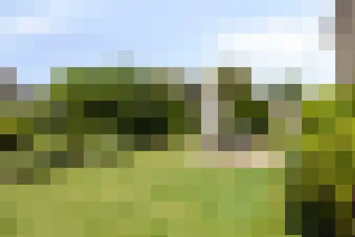Heeklaan 111 Helmond thumbnail 45
