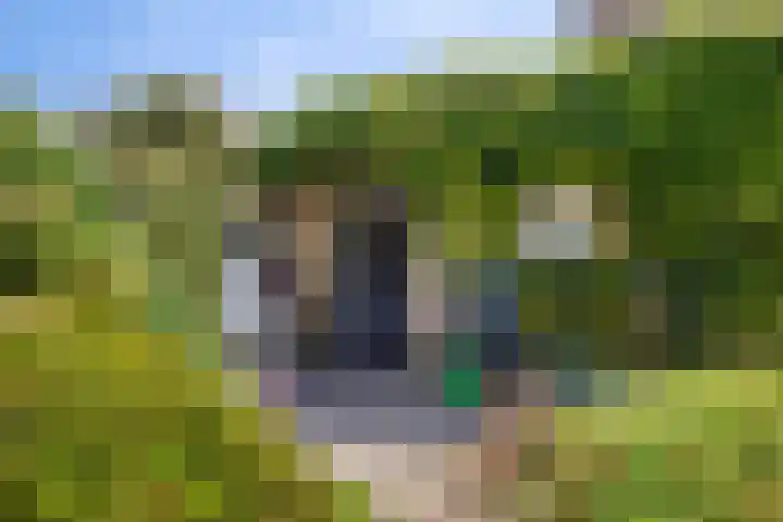 Heeklaan 111 Helmond thumbnail 5