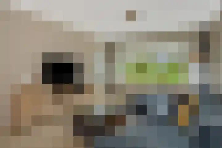 Heeklaan 133 Helmond thumbnail 14
