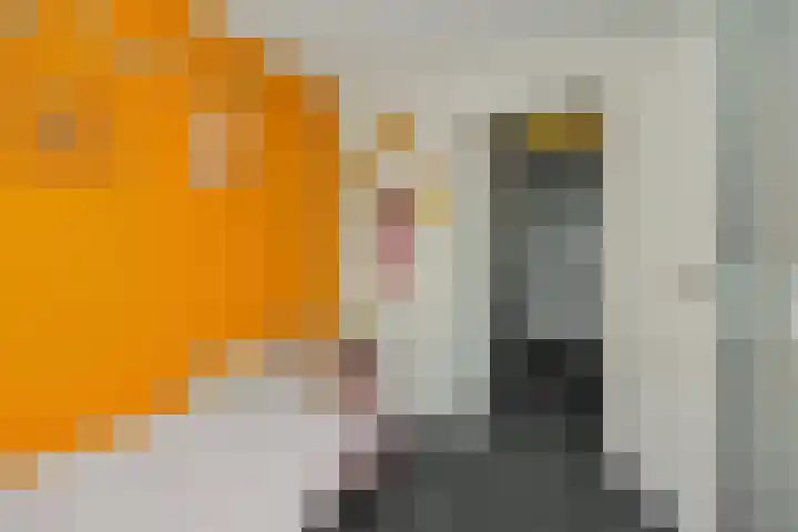 Heeklaan 133 Helmond thumbnail 28