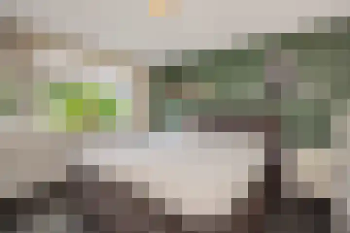 Heeklaan 133 Helmond thumbnail 31