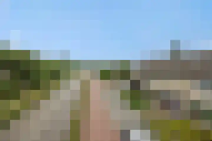 Heeklaan 133 Helmond thumbnail 8
