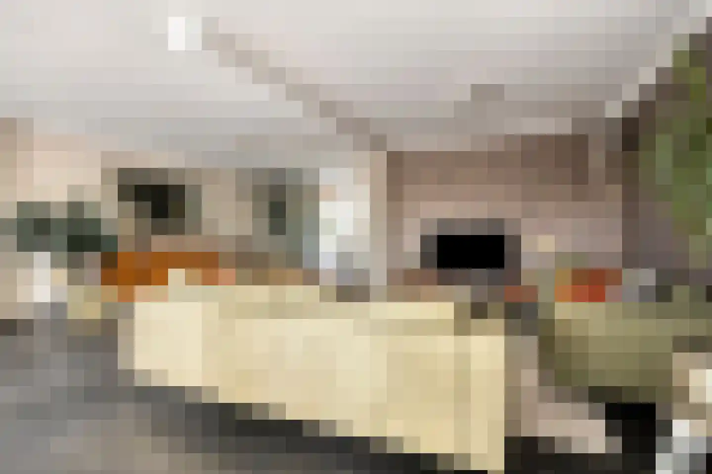 Heekstraat 34 Hoogvliet Rotterdam thumbnail 22
