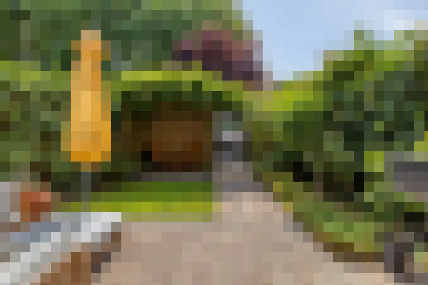 Heelblaadjespad 13 Leiderdorp thumbnail 27