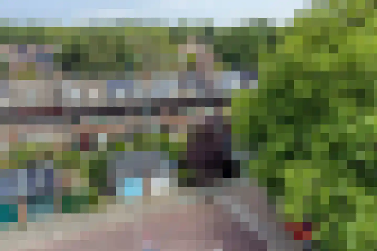 Heelblaadjespad 13 Leiderdorp thumbnail 29